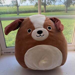 Kellytoy Squishmallow Bernie Dog Squishmallow